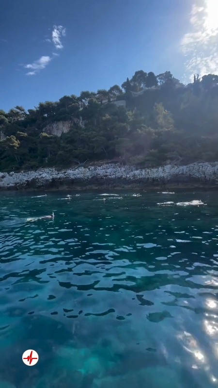 Randonnée Palmée à Nice - Snorkeling