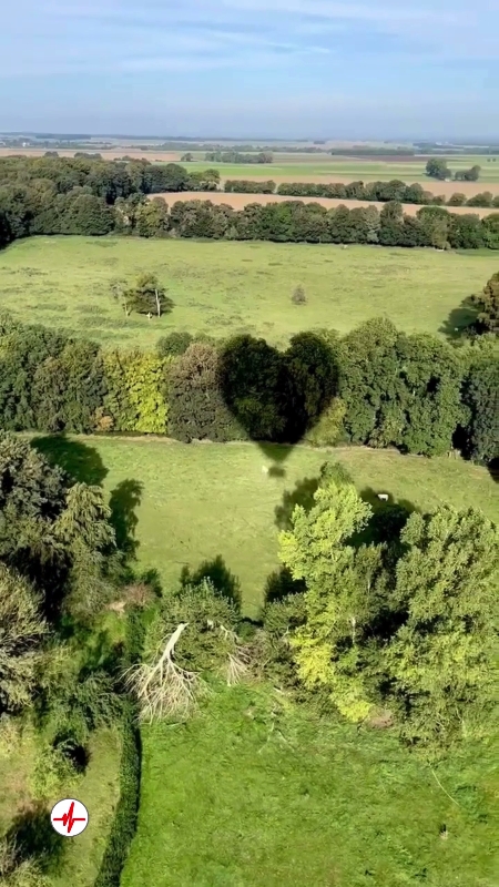 Vol en Montgolfière à Abbeville - Baie de Somme