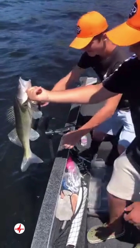 Guide de Pêche au Lac de Charpal - Pêche aux Carnassiers
