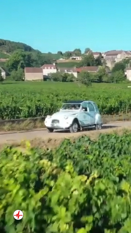 Balade en 2 CV près de Beaune - Découverte du Terroir Bourguignon 