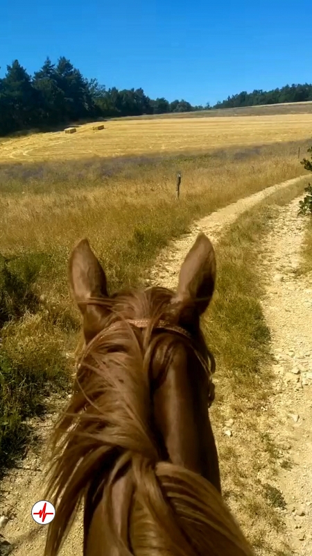 Balade à Cheval et Cours Western près du Mont Ventoux
