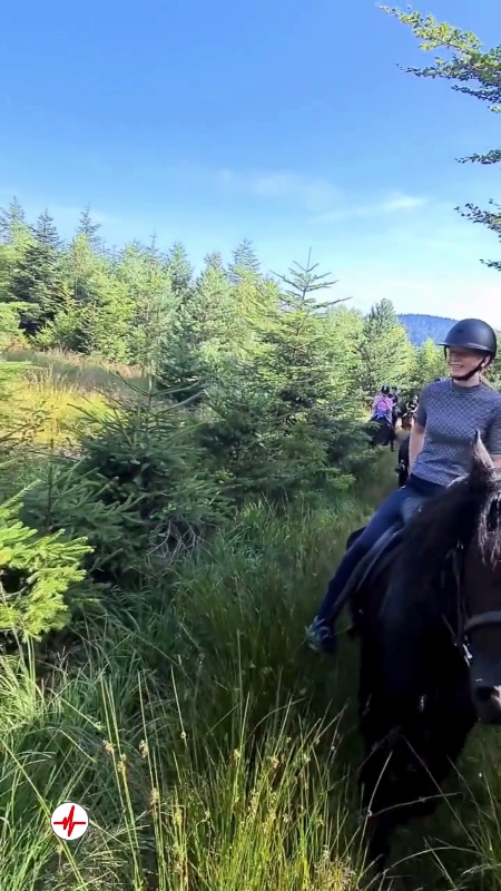 Balade à Cheval près de Gérardmer - Le Tholy