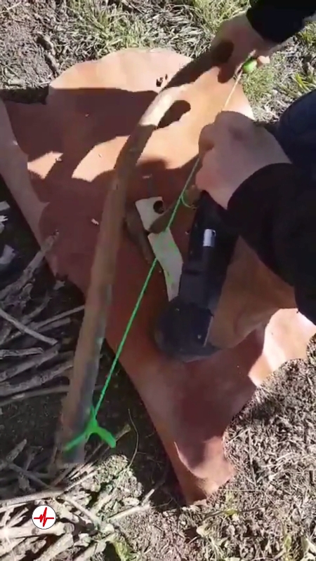 Stage de Survie près de Clermont-Ferrand - Murol